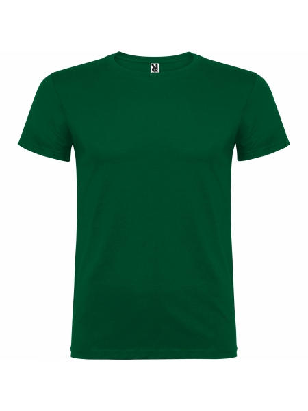 t-shirt-beagle-colorata-verde bottiglia.jpg